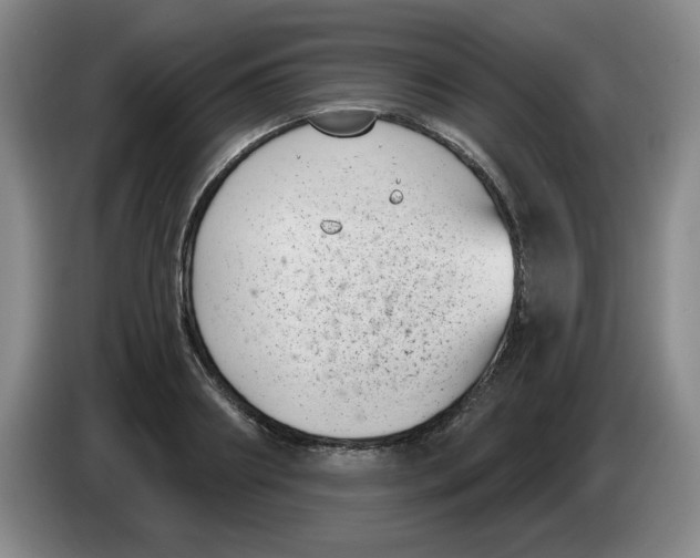 X0000084040890200703092029