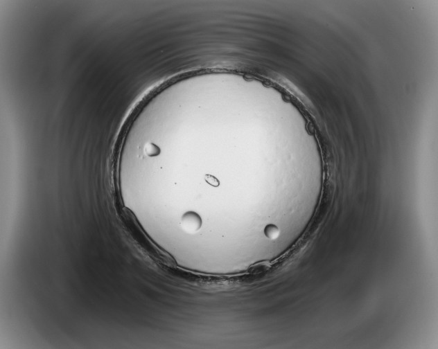 X0000084040891200703092029