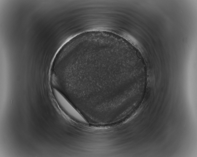 X0000084040892200703092029