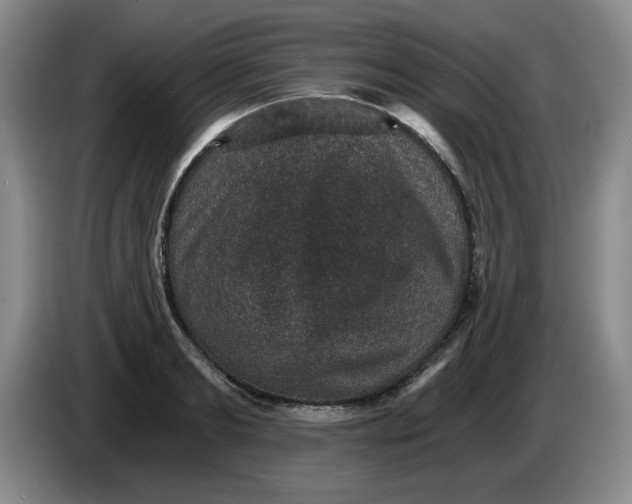 X0000084040893200703092029