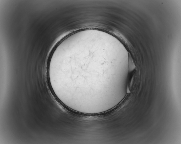 X0000084040894200703092029