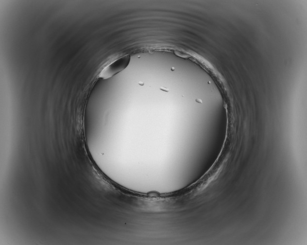 X0000084040897200703092029