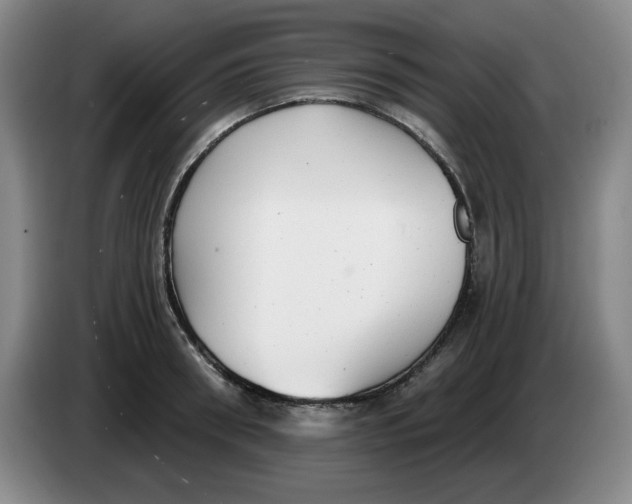 X0000084040898200703092029