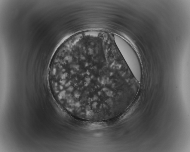 X0000084040899200703092029