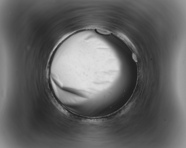 X0000084040900200703092029