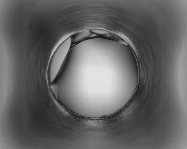 X0000084040901200703092029