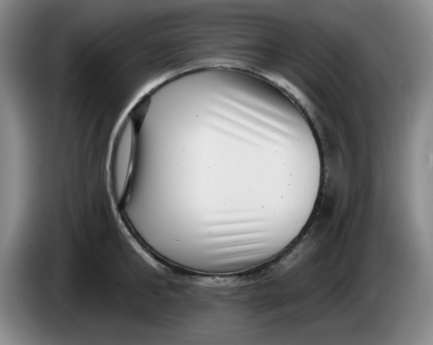 X0000084040902200703092029