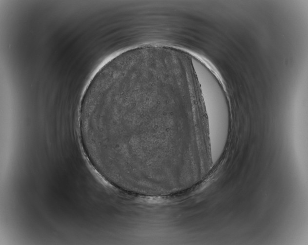 X0000084040903200703092029