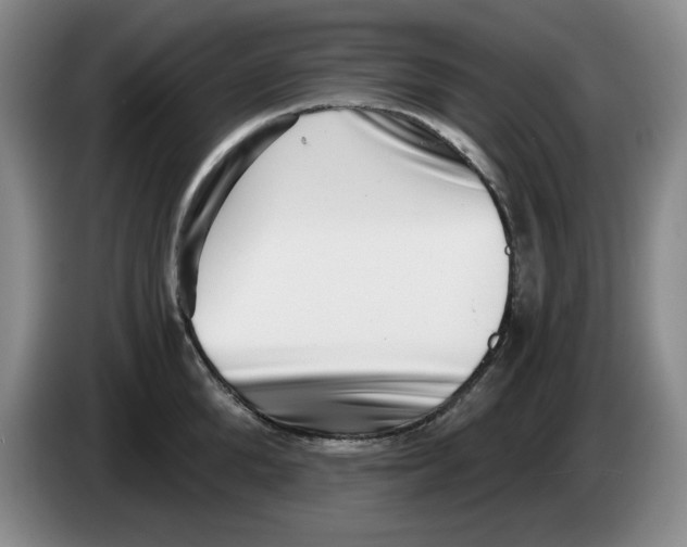 X0000084040904200703092029