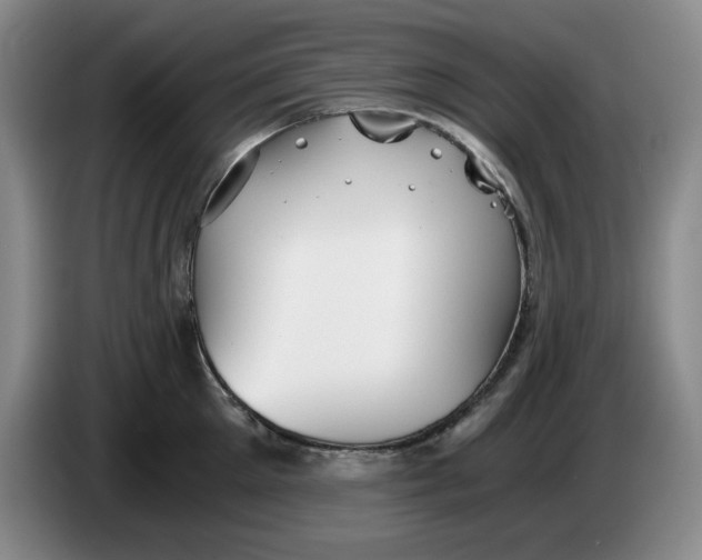 X0000084040905200703092029