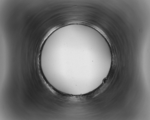 X0000084040906200703092029