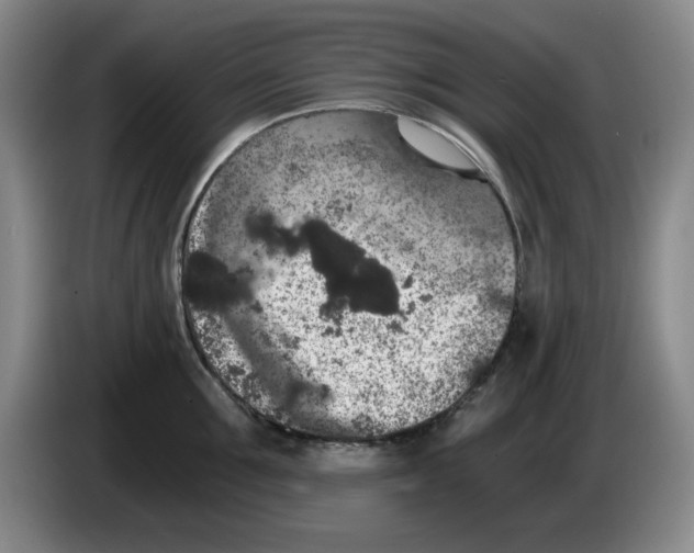 X0000084040907200703092029