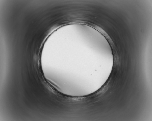 X0000084040908200703092029