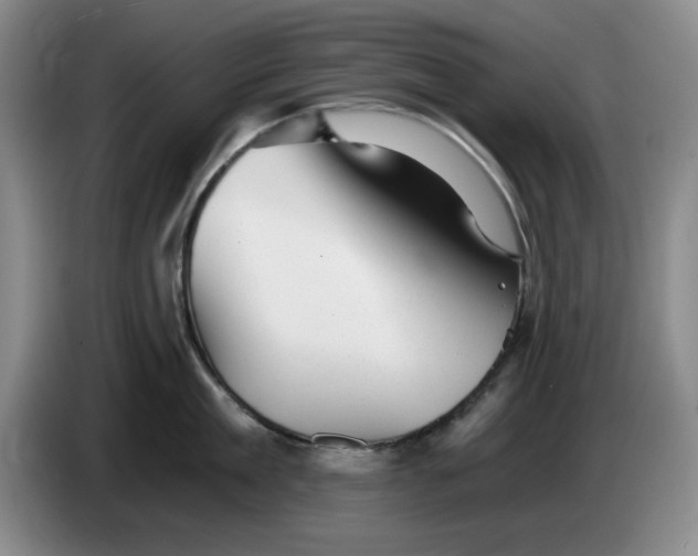 X0000084040909200703092029