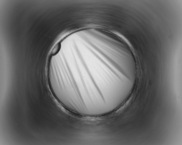 X0000084040910200703092029