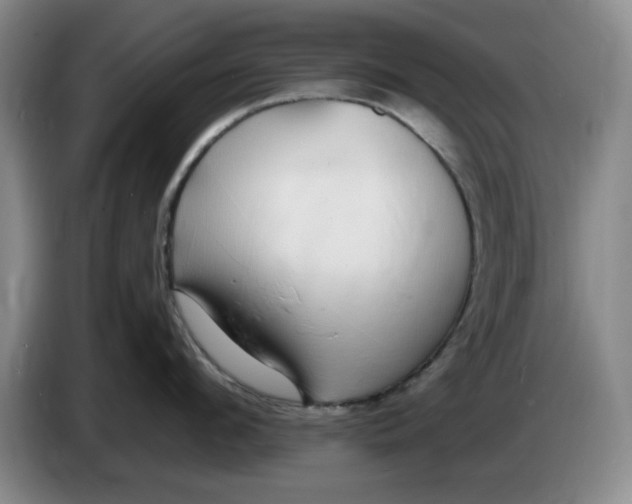 X0000084040912200703092029