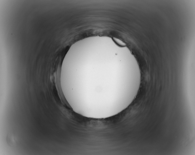 X0000084040914200703092028