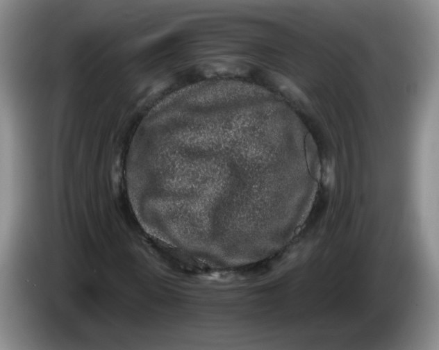 X0000084040915200703092028