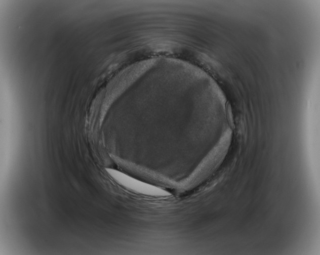 X0000084040916200703092028