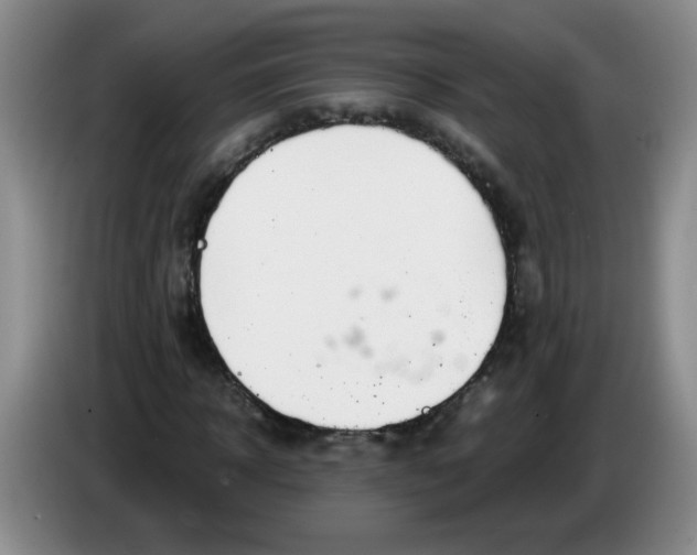 X0000084040918200703092028