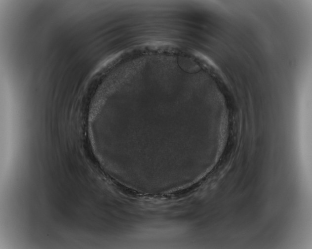 X0000084040919200703092028