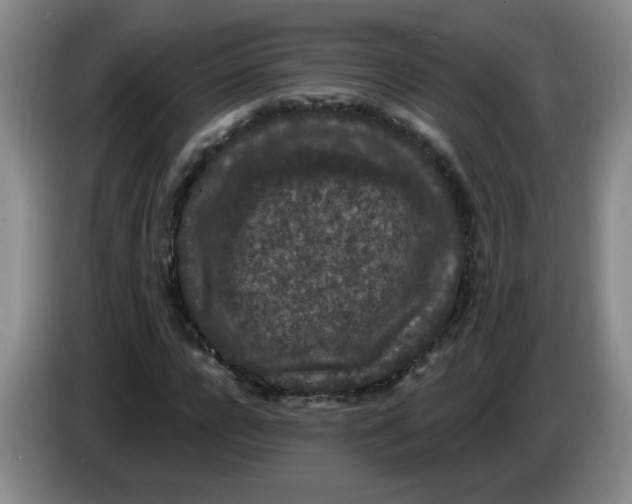 X0000084040920200703092028