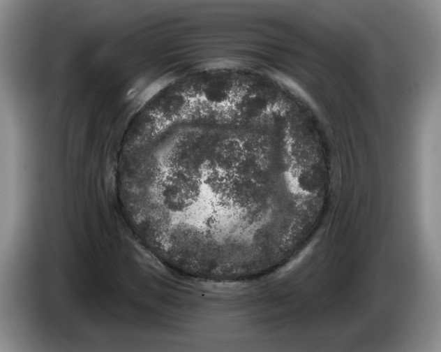 X0000084040921200703092028