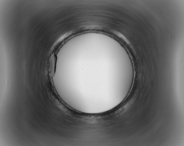 X0000084040922200703092028