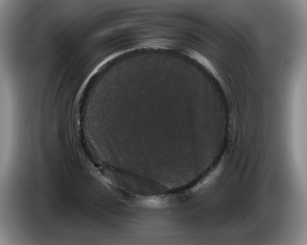 X0000084040923200703092028