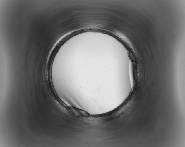 X0000084040924200703092028