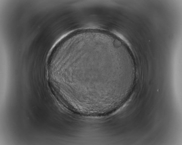 X0000084040925200703092028