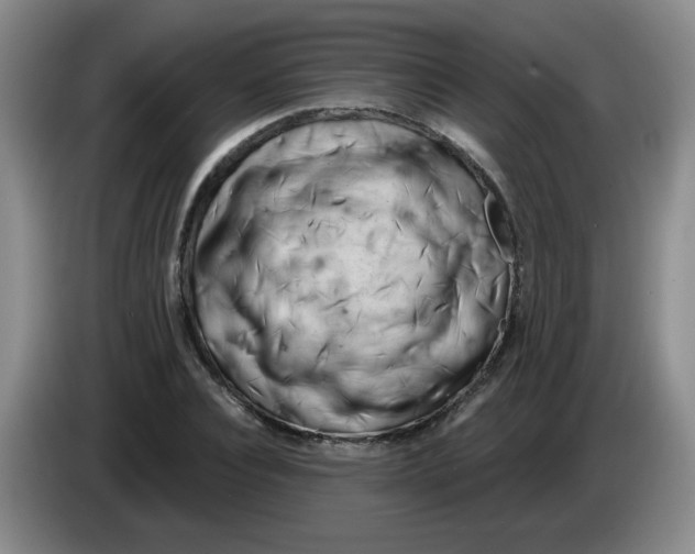 X0000084040928200703092028