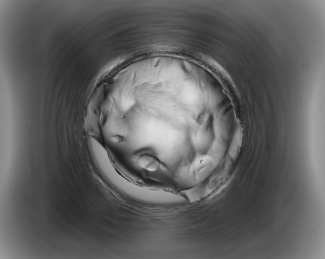 X0000084040930200703092028