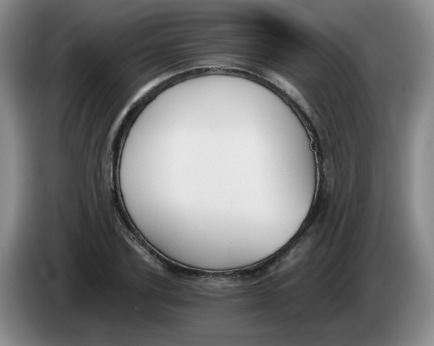 X0000084040931200703092028