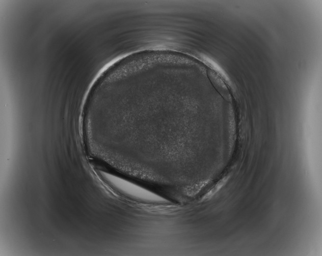 X0000084040932200703092028