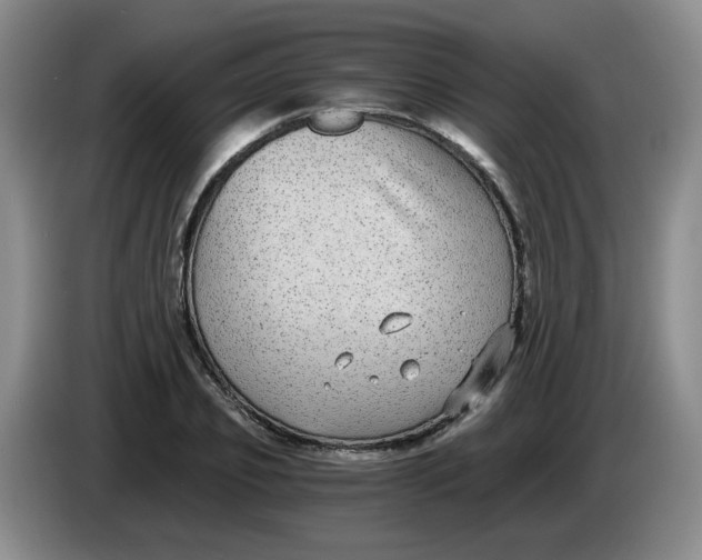 X0000084040933200703092028