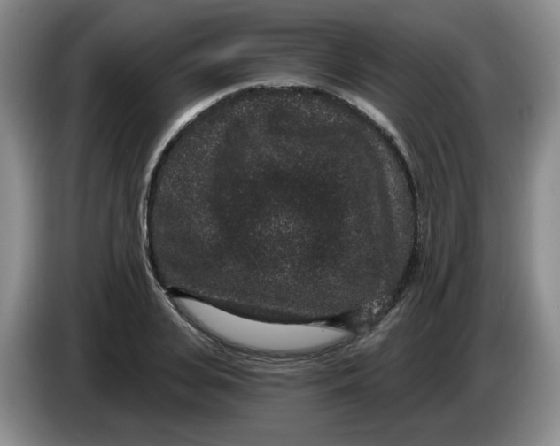 X0000084040935200703092028