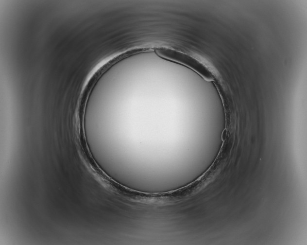 X0000084040936200703092028