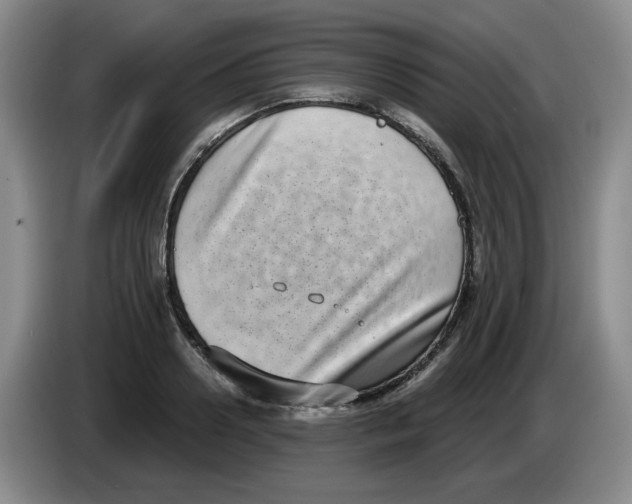 X0000084040938200703092028