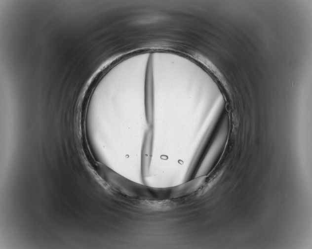 X0000084040939200703092028