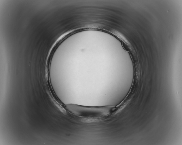 X0000084040940200703092028