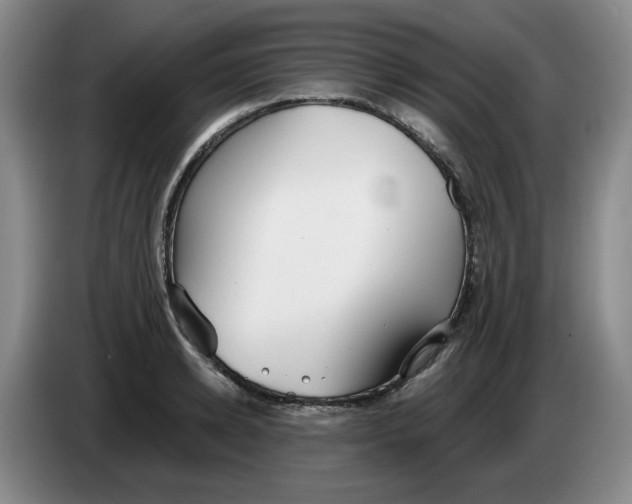 X0000084040942200703092028