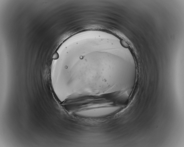 X0000084040945200703092028