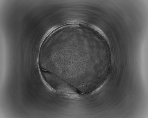 X0000084040946200703092028