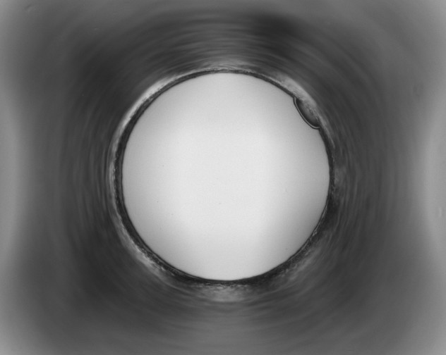 X0000084040947200703092028