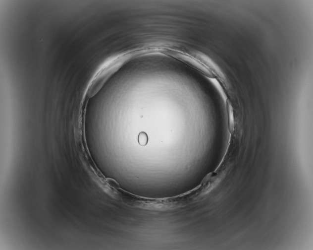 X0000084040948200703092028