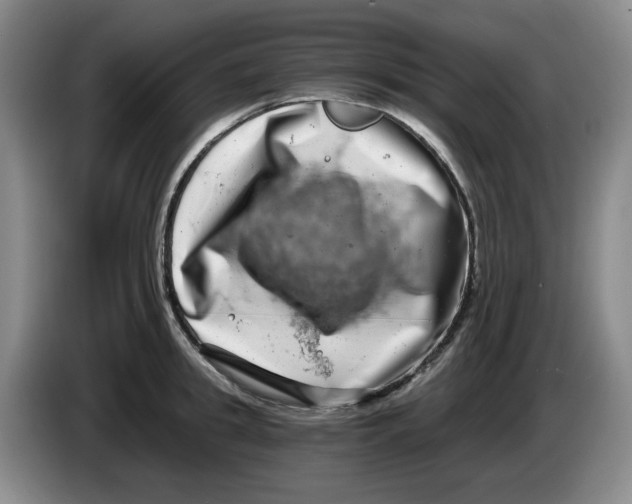 X0000084040949200703092028