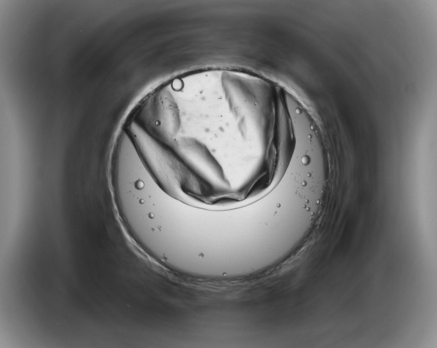 X0000084040950200703092028