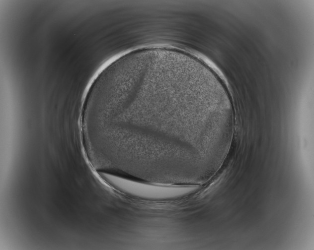 X0000084040951200703092028