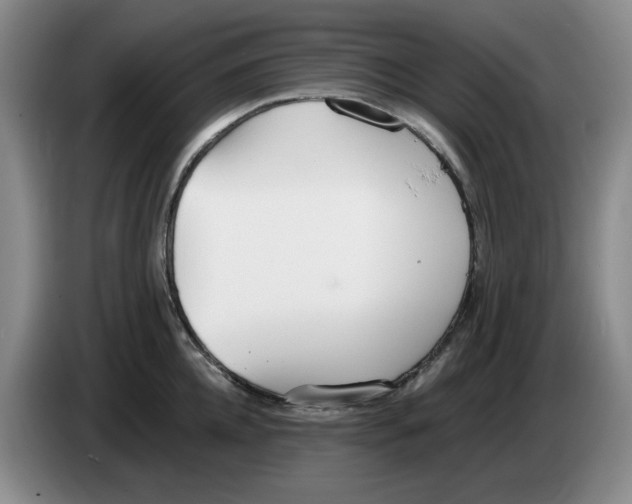 X0000084040952200703092028